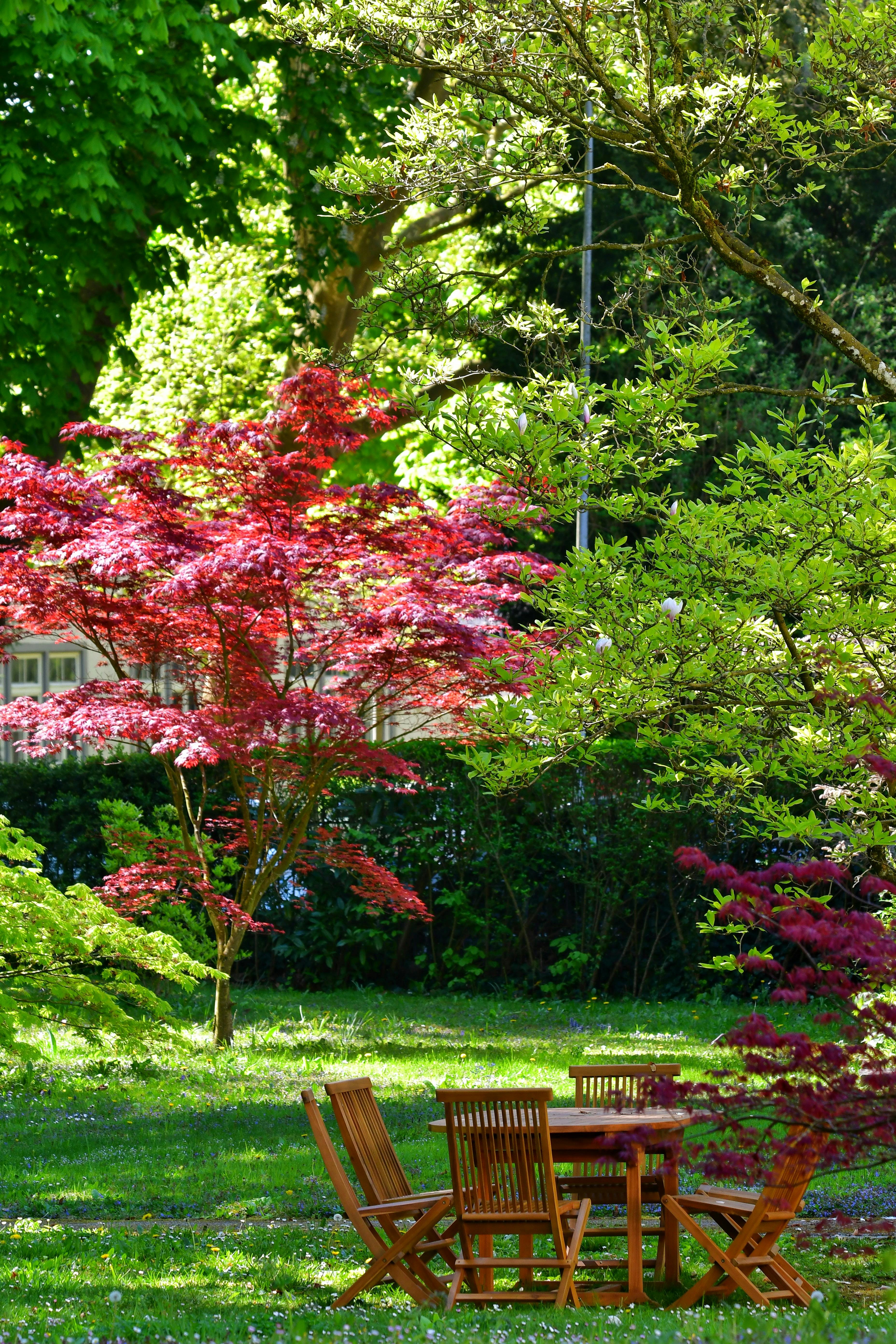 Jardin entretenu par paysagiste Hush Garden Saint-Rambert